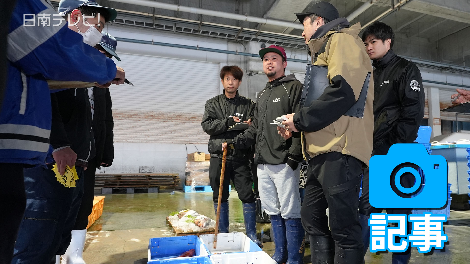 日南市南郷の目井津港「初セリ」