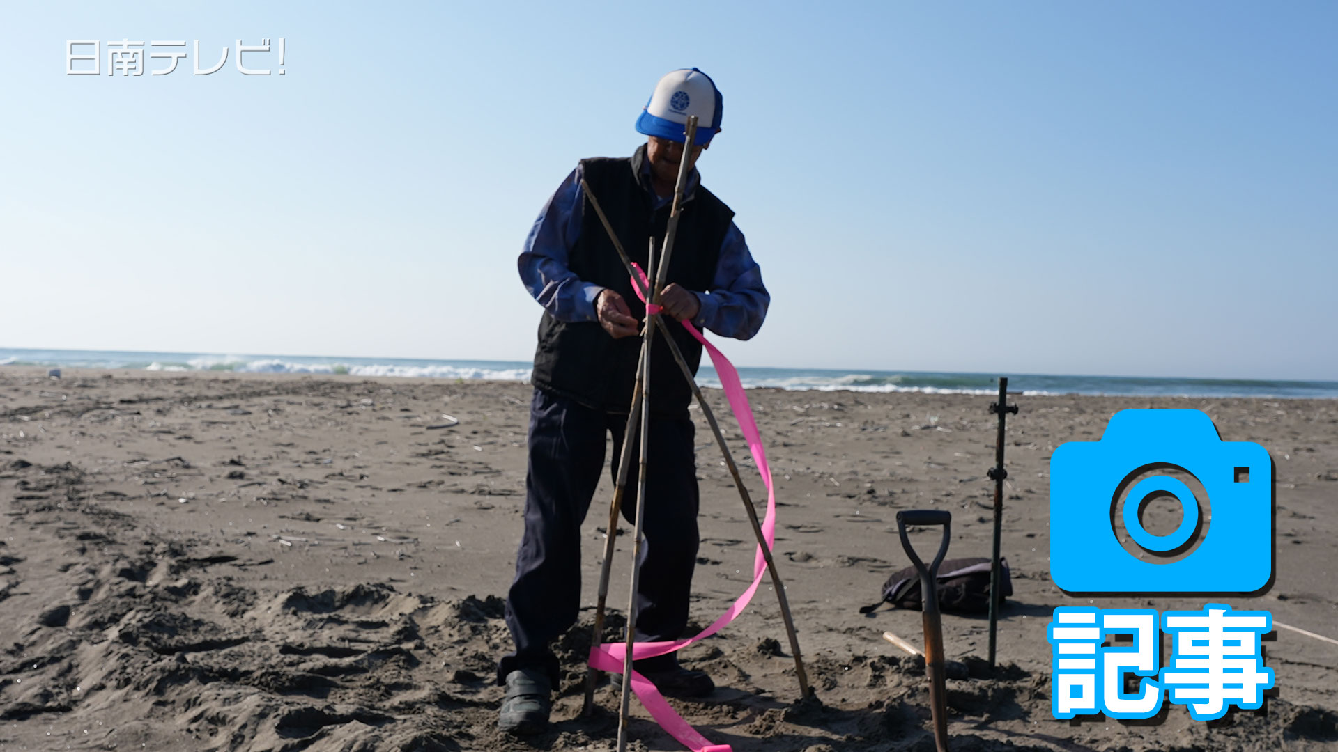 アカウミガメ産卵